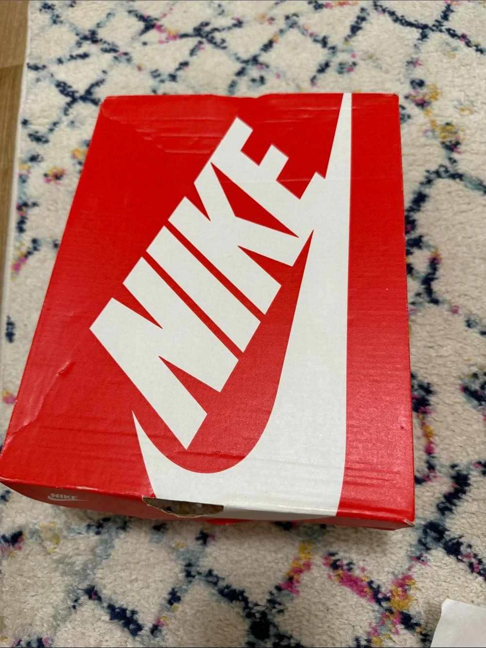 Nike Kids Dunk Low — White and Gray with Red Swoosh